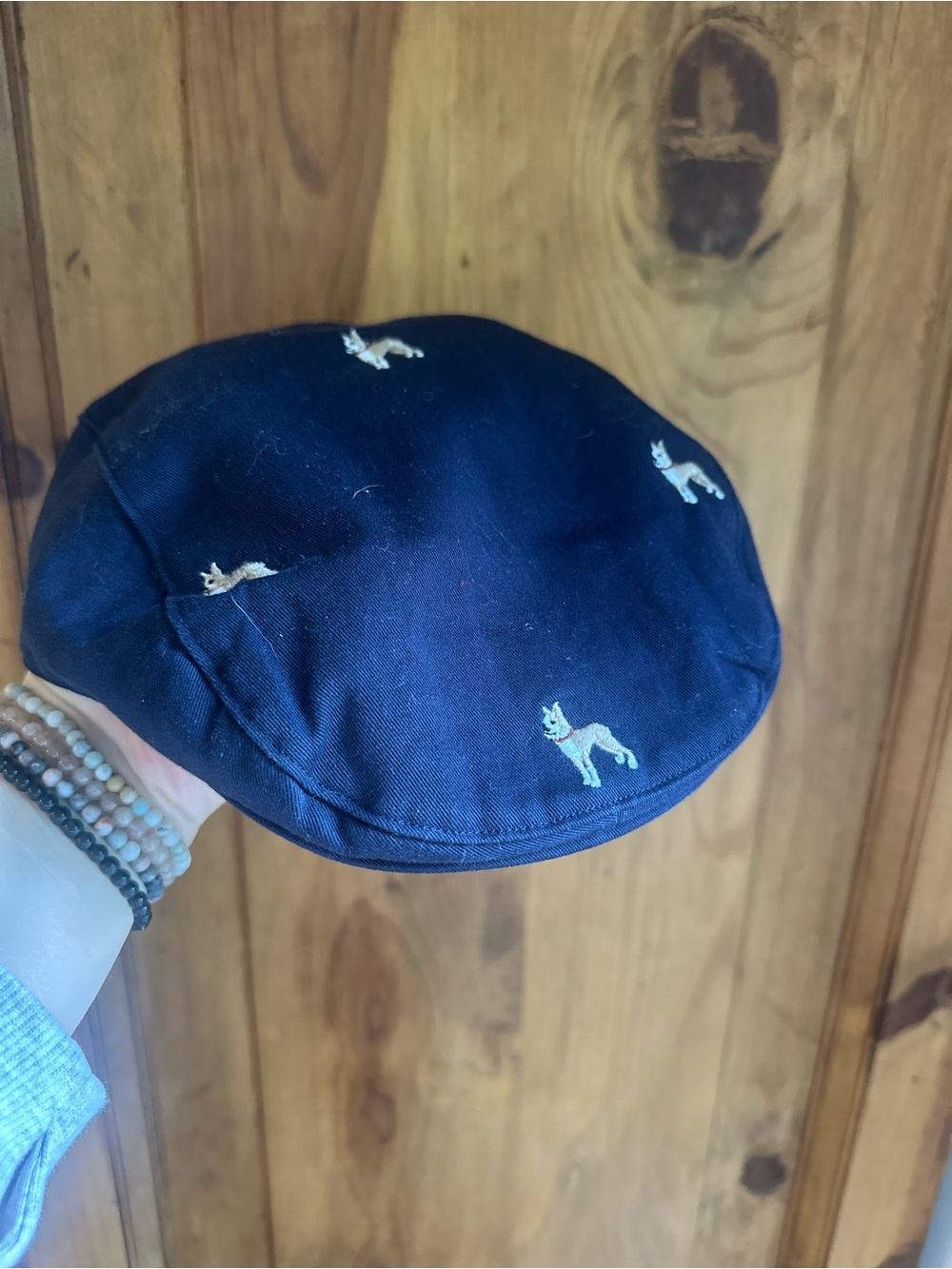 Janie and Jack Navy Cotton Cap with Embroidered Dog Motifs